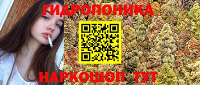 ГАЛЛЮЦИНОГЕННЫЕ ГРИБЫ Лесосибирск